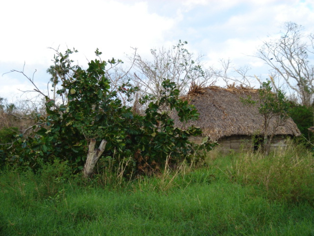 dsc00510.jpg